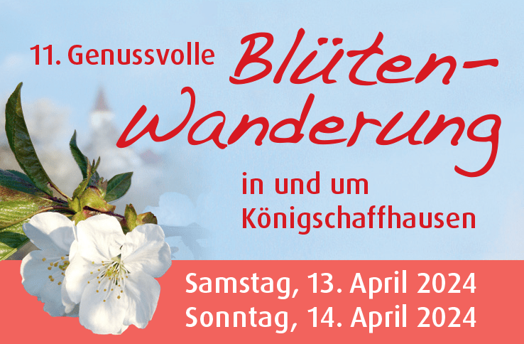 Blütenwanderung 2024 Königschaffhausen